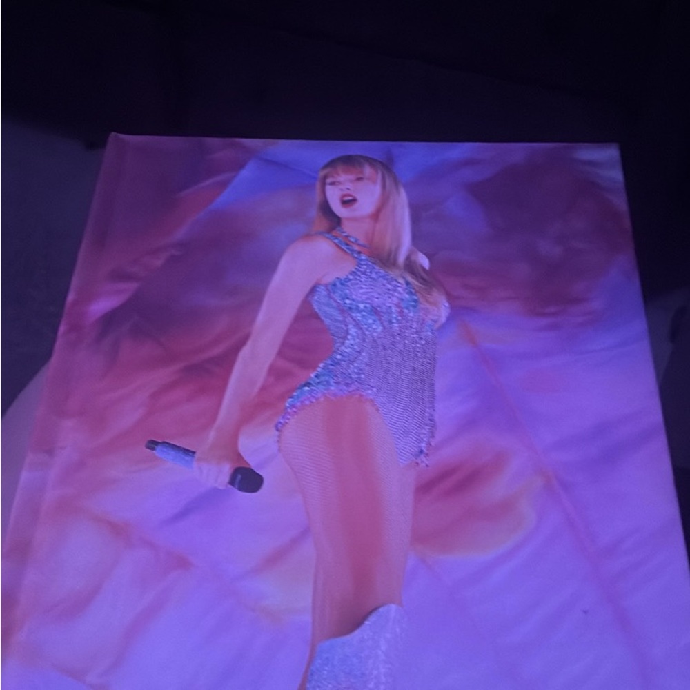 Taylor swift eras tour book